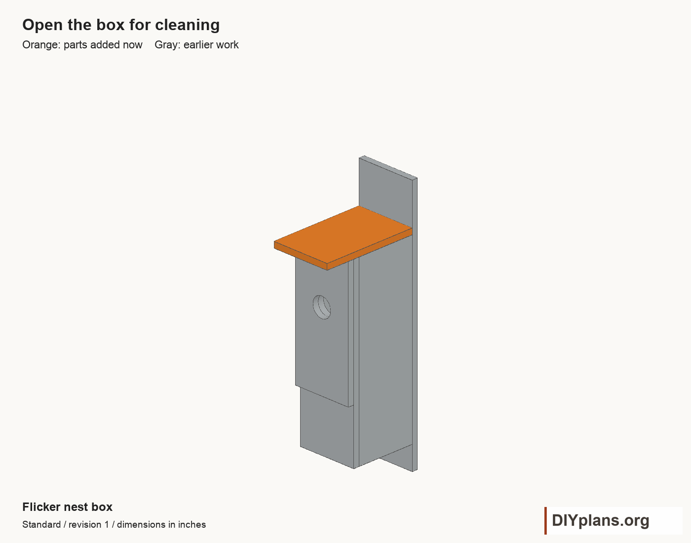 Flicker nest box 06 movement